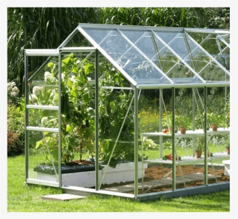A number of the stuff you need to know greenhouses