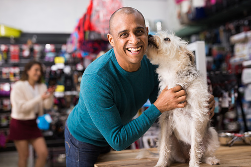 Pawfection Awaits at Your Local Grooming Parlor