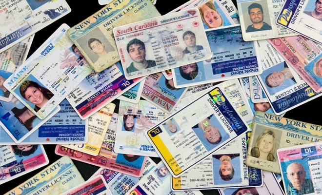 25.	How to Design Your Fake ID with Real Novelty Providers?