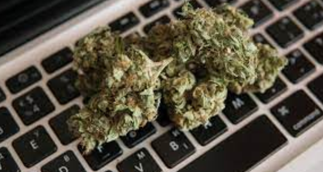 Buy Organic Marijuana at The Best Prices from Buy weed online