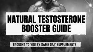 The Top Testosterone Boosters for Better Mood and Well-being