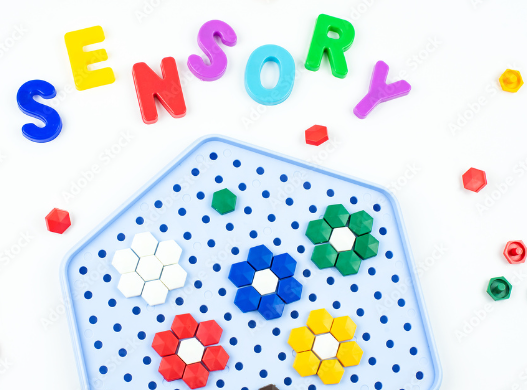 Sensory Line: Bridging the Gap between Perception and Reality