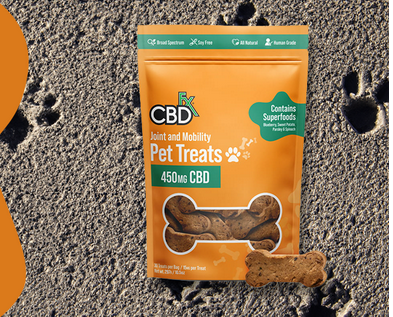 Best Organic CBD Treats for Dogs: Pure and Natural Options