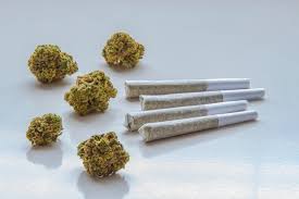 Take pleasure in a Variety of Strains in the Convenience of House in High-quality cannabis
