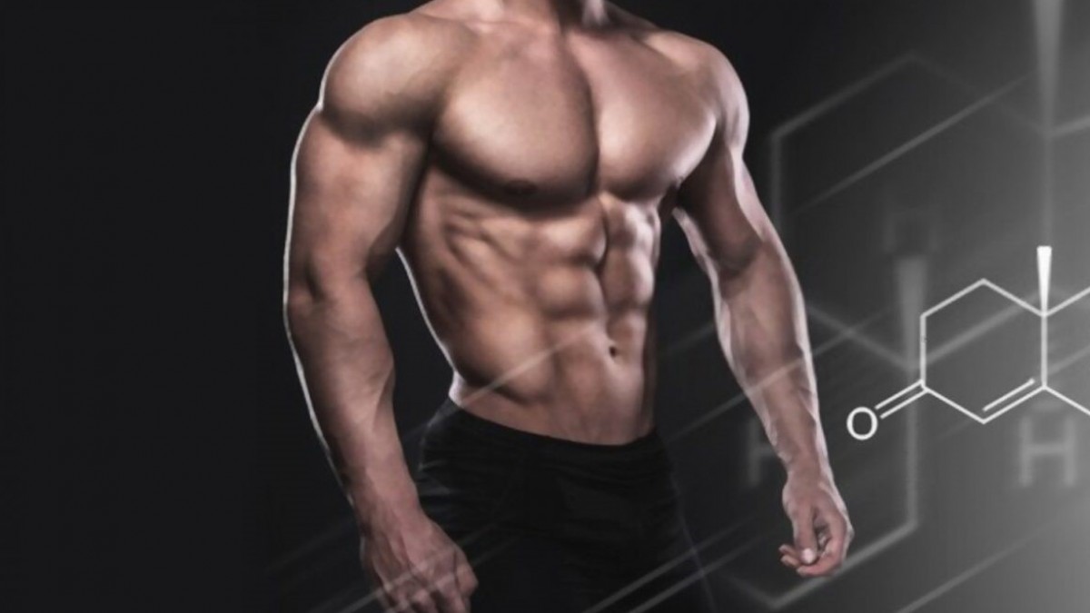 The Legitimate Consequences of Steroid Consumption in France