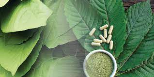 Full Steam Ahead: Harnessing the Power of Train Wreck Kratom for Wellness