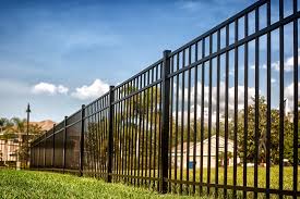 Beyond the Barrier: The Multifaceted Role of Fences